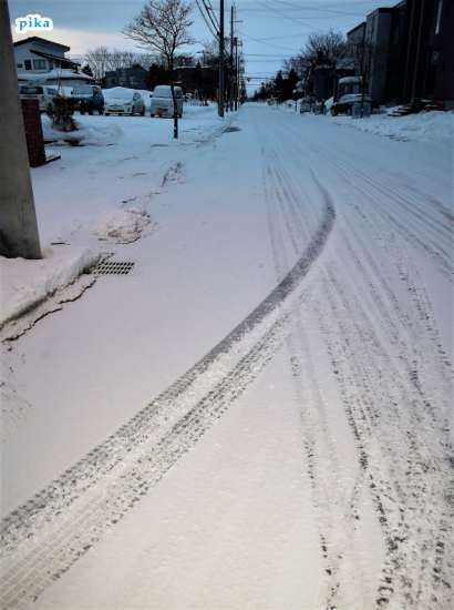 17.2.12.朝の雪.JPG